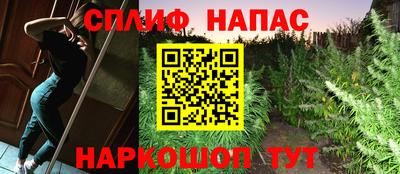 бошки Будённовск
