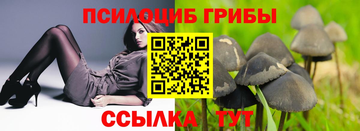 МЕФ Балашов